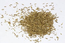 Nasiona trawy Trawnik samonawożacy 1 kg Vegano