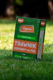 Trawnik odporny na psa nasiona traw z mikrokoniczyną
