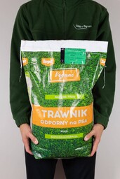 Trawnik odporny na psa nasiona traw z mikrokoniczyną