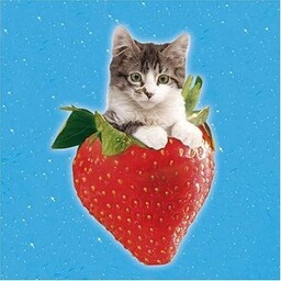 Clementoni 5302604 Strawberry Kitten, 500 części