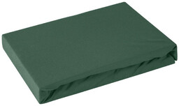 Prześcieradło z Gumką Jersey D91 120x200 w.25 Zielony