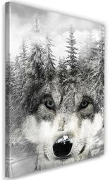 Obraz na płótnie, Wilk w lesie natura krajobraz