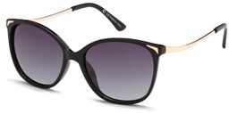 Polar Vision PV 20234 A
