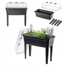 Duża Mini Szklarenka Miniszklarenka Szklarnia Domowa Rozsady 75cm