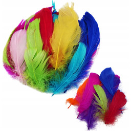 Pióra Dekoracyjne Naturalne Diy Barwione Kolorowe 400SZT Gęsie