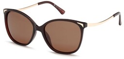 Polar Vision PV 20234 B