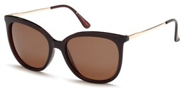 Polar Vision PV 20235 B