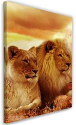 Obraz na płótnie, Król lew i lwica 40x60