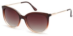 Polar Vision PV 20235 D
