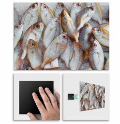 Plakat metalowy ryby L