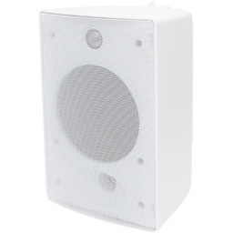 Głośnik Naścienny do Dyskoteka Restauracja 100W