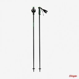 HEAD Kije narciarskie FRONTSIDE anthracite/green