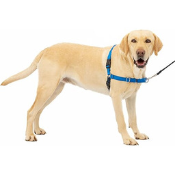 PetSafe Uprząż dla psa Easy Walk.