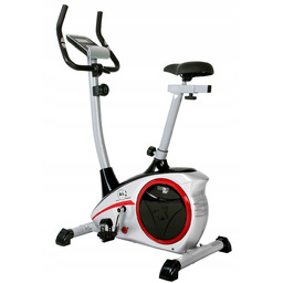 Rower Christopeit AL1 srebrny