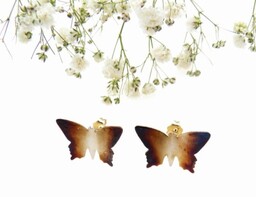 Kolczyki srebrne z motylami - Butterfly II