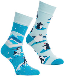 Todo Socks The Penguins,, Pingwiny z Madagaskaru, Kolorowe