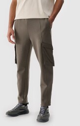 4F Spodnie męskie casual cargo 4FWSS25TTROM0990-80S Brązowy Roz.