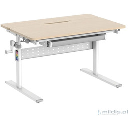 Biurko dla dzieci Spacetronik XD SPE-X102WL - 90x60