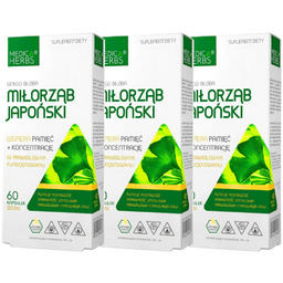 GINKGO BILOBA Miłorząb Japoński 180 kapsułek PAMIĘĆ KONCENTRACJA