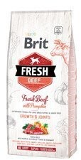 Sucha Karma dla psa z wołowiną BRIT FRESH