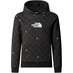 The North Face Bluza z kapturem Chłopcy Drew