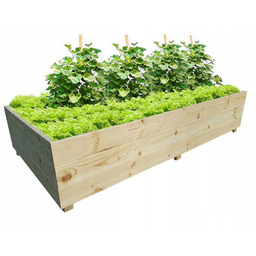 Warzywniak Zielnik Inspekt Skrzynia 120x80x20 Drewniany Eko Wysoki