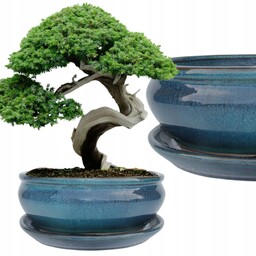 Donica Do Bonsai Z Podstawką Ceramiczna Szkliwiona Turkusowa