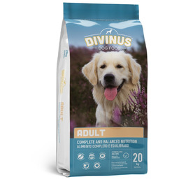 Divinus Adult dla psów dorosłych 20kg