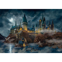 Schmidt Spiele 58577 Thomas Kinkade, Wizarding World, Harry