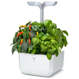 VERITABLE Doniczka inteligentna Exky Smart Arctic 1L Biały