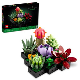LEGO 10309 Sukulenty