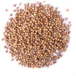 Kolendra ziarno 500g