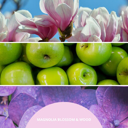 Millefiori Milano Olejek zapachowy Magnolia Blossom & Wood