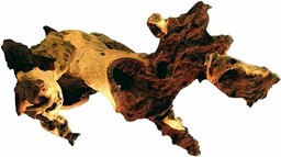 Amtra Drewno Mopani rozmiar L 40-65 cm, naturalna