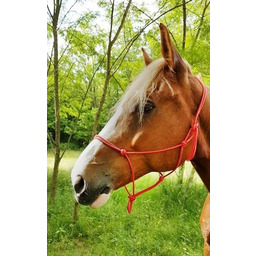 RIDING WORLD Kantar/halter sznurkowy FINE