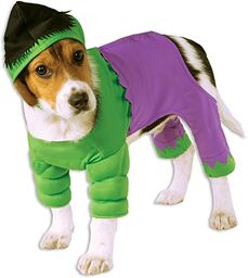 Rubie''s 580069M oficjalny kostium Hulk Pet Dog Dog,