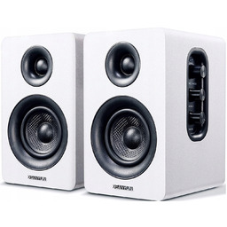 Zestaw głośników aktywnych 2.0 Sanyun SW-208 60W Bluetooth