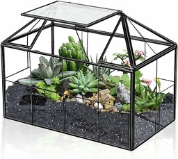 Ferrisland Szklanka terrarium dla roślin powietrznych  dom