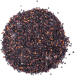 Quinoa czarna 5kg