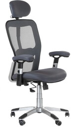 Fotel ergonomiczny CorpoComfort BX-4147 Szary