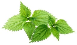EQUIHERBS Pokrzywa zwyczajna 1 kg