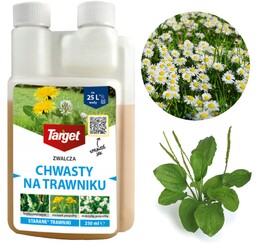 Target Starane 250 ML Oprysk Środek Na Chwasty