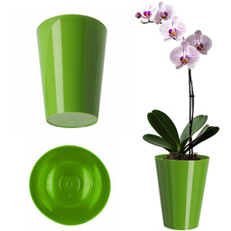 Doniczka na storczyka Cerda 13 cm, zielona