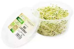 Kiełki lucerny ekologiczne (0,05 kg) (EKO)