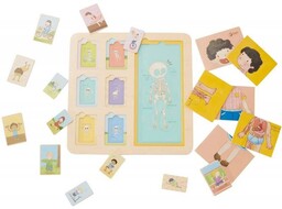 Classic World, Tablica Edukacyjna, ciało Ludzkie 19 el.