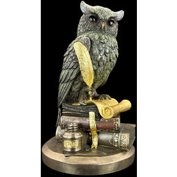 SOWA MĄDROŚCI NA KSIĄŻKACH - KOLOR VERONESE (WU75033A5)