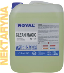 Płyn do mycia i dezynfekcji Clean Magic 10