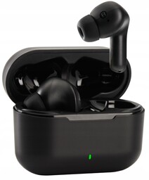 Słuchawki dokanałowe Panasonic RZ-B310WDE-K Czarny