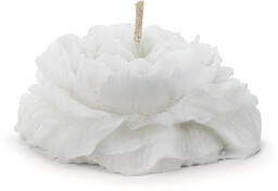 Świeca pływająca piwonia, matowa, biały, 8 cm (1