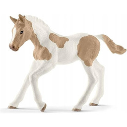 KOŃ PAINT HORSE ŹREBIĘ